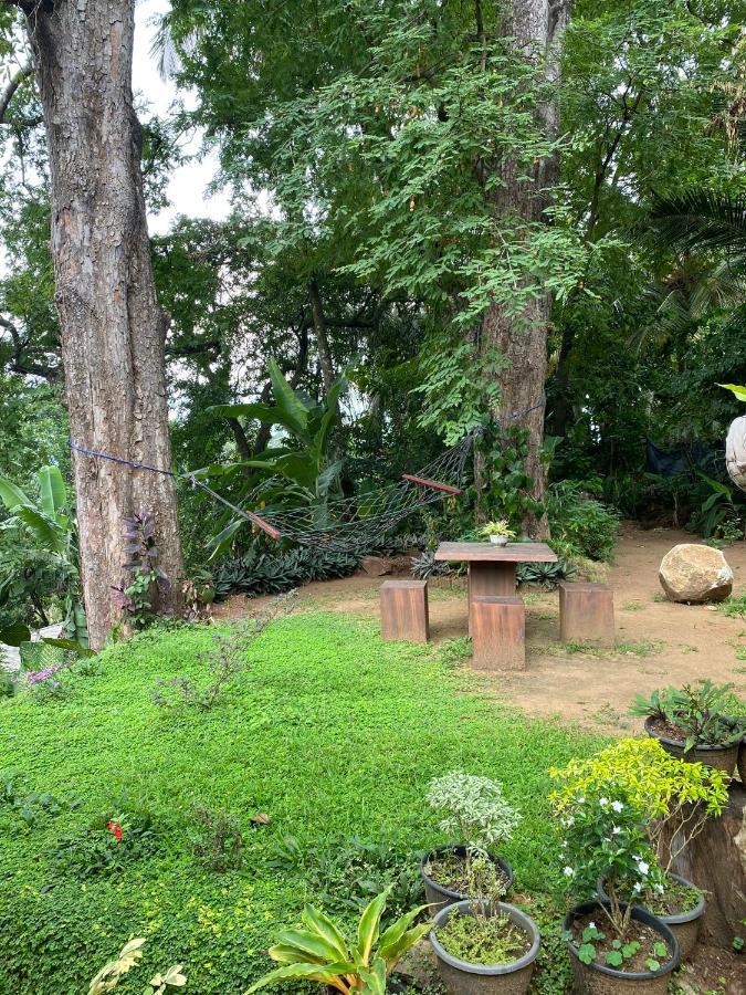 Pearl'S Homestay Matale Exteriör bild