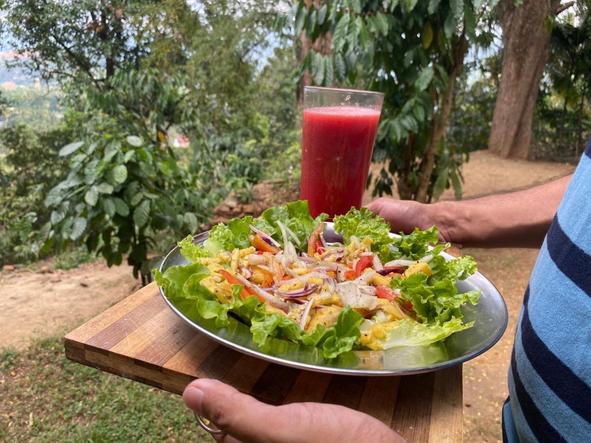 Pearl'S Homestay Matale Exteriör bild