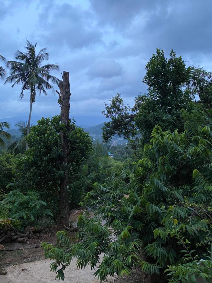 Pearl'S Homestay Matale Exteriör bild